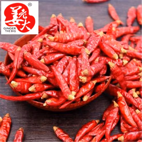 Sanying Chili Chinesische getrocknete scharfe rote Chili