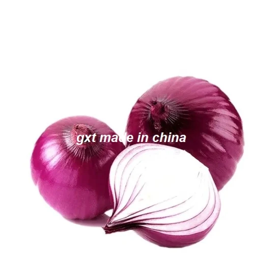 Frische rote Zwiebeln vom chinesischen Lieferanten
