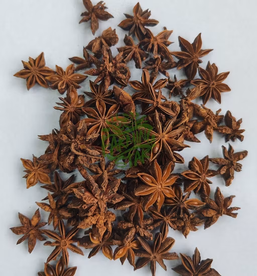 Frischer Gewürz-Sternanis zum Verkauf Herbst-Sternanis