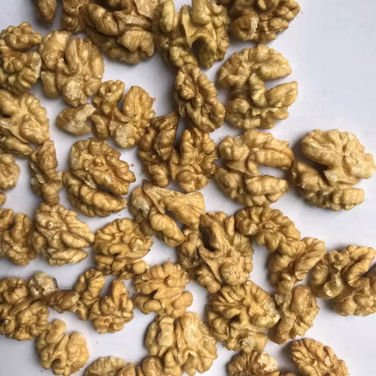 Xinjiang-Walnusskern, extra leichter Walnusskern, Walnusskern