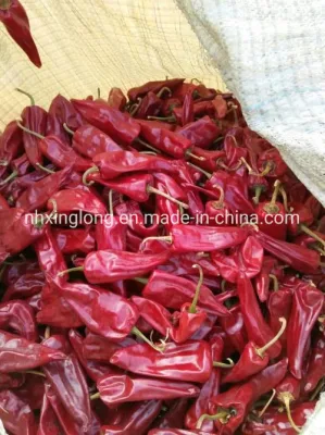 Getrocknete rote Peking-Chilis ohne Stiel 7