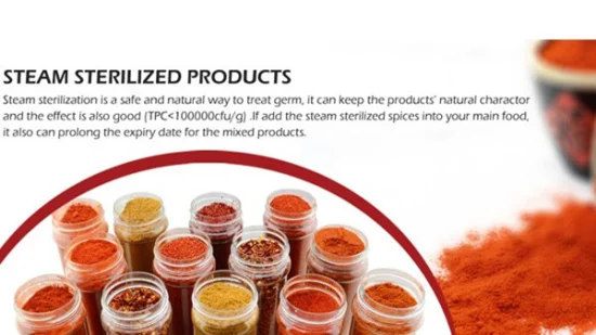 Hot Spices Paprika Distributor Getrockneter Sternanis im Ganzen in China